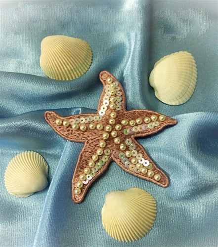 FSL Starfish