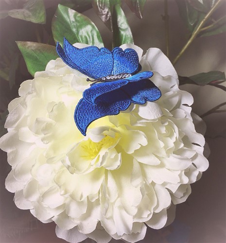 FSL Butterfly