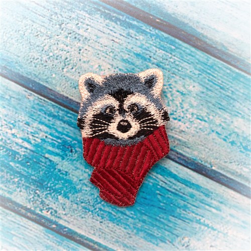 FSL Raccoon
