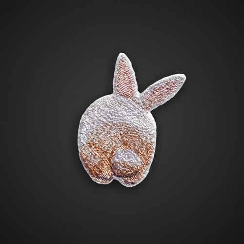 FSL Bunny