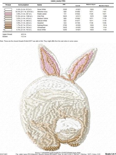 FSL Bunny