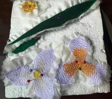 FSL Daffodil