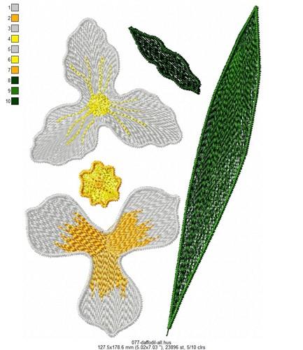 FSL Daffodil