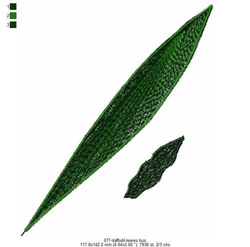 FSL Daffodil