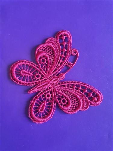 FSL Butterfly