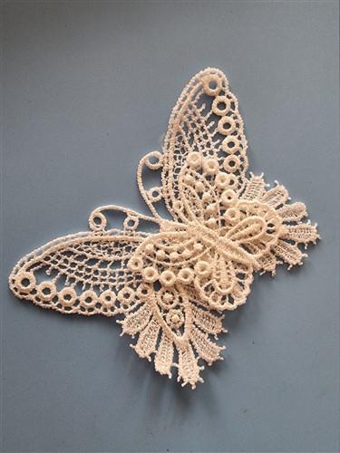 FSL Butterflies