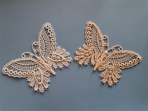 Butterfly FSL