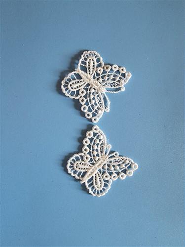 FSL Butterfly
