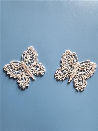 FSL Butterfly