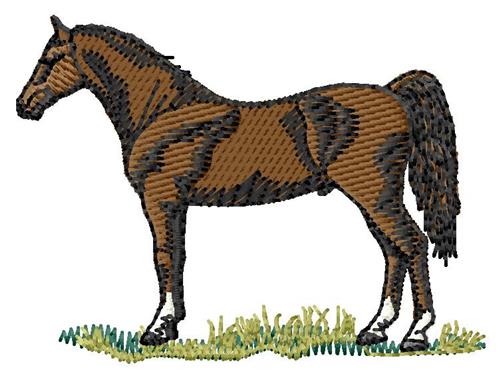 Equestrian on horse with swooshes sample