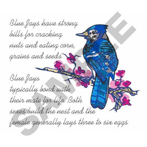 Realistic Hand Drawn Bird Blue Jay PNG & SVG Design For T-Shirts