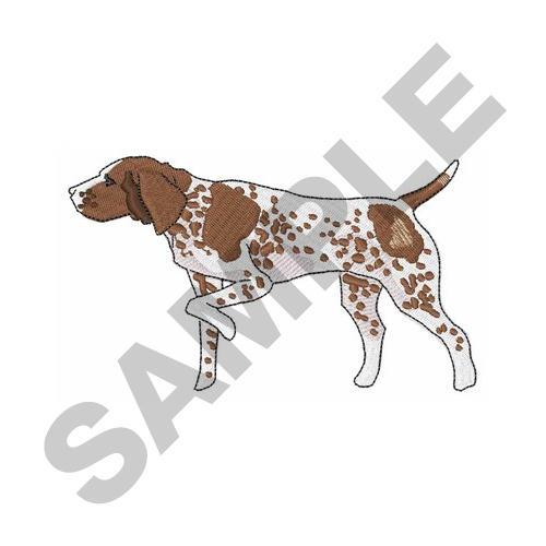 GERMAN POINTER GERMAN POINTER