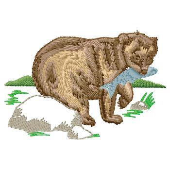 Bear Bear