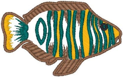 tropical fish embroidery designs