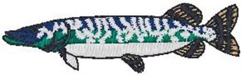 Tarpon