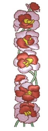 Begonia Border