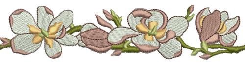 Magnolia Border
