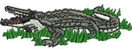 Crocodile
