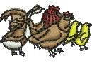 Poultry