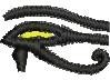 Eye of Ra