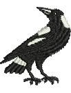 Magpie