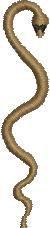 Brown Snake