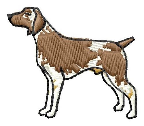German Pointer German Pointer