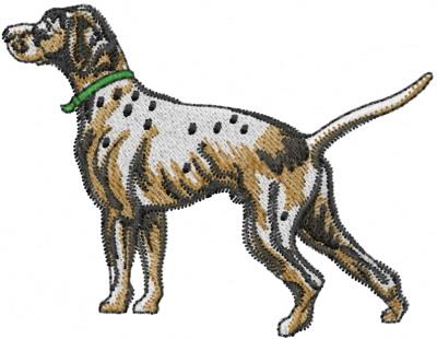 Pointer Dog Pointer Dog