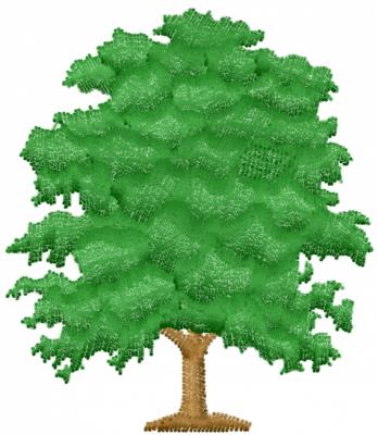 Tree Tree