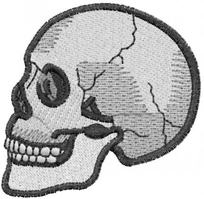 Skull Profile
