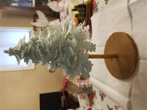 FSL Christmas Tree