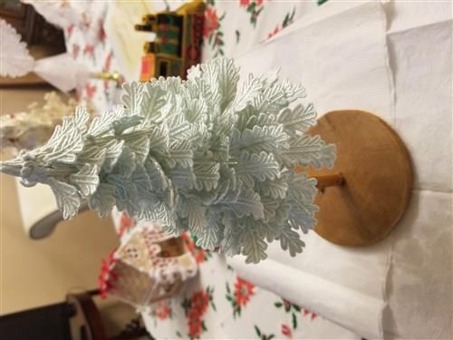 FSL Christmas Tree
