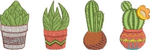 Mini Cactus Group 1