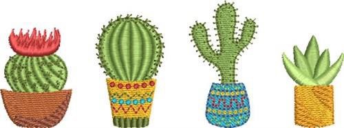 Mini Cactus Group 2