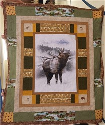 American Bison