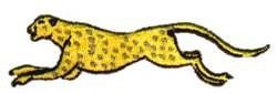 Cheetah