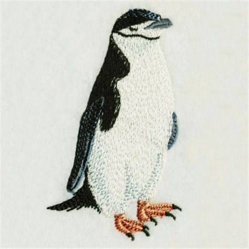 Realistic penguin embroidery designs machine embroidery designs at