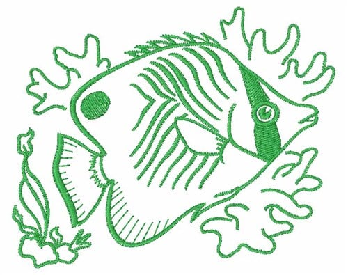 tropical fish embroidery designs