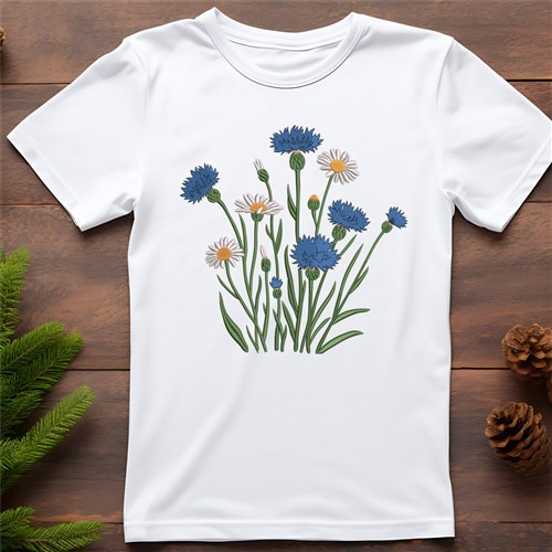 Cornflower Blooms