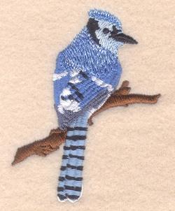 Blue Jay Outline Embroidery Design by Starbird Inc.