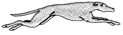 Greyhound