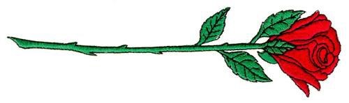 Long Stemmed Rose