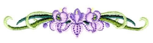 Orchid
