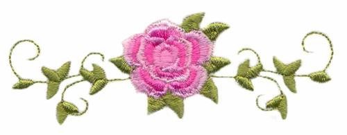Rose Border