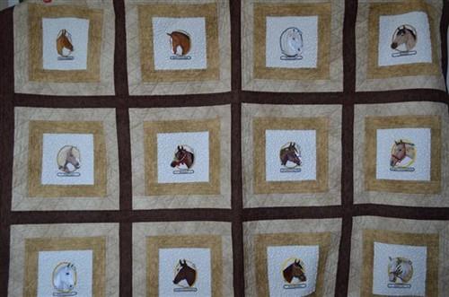 Arabian Horse