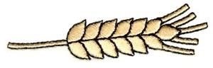 Grain Seed