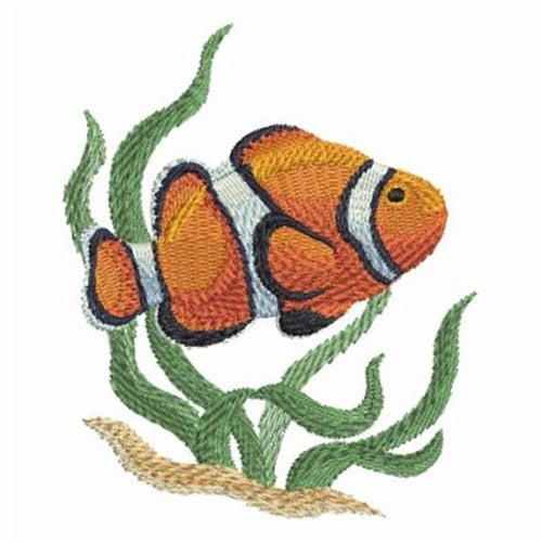 tropical fish embroidery designs