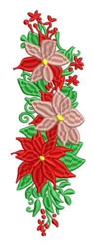 Poinsettia Blooms