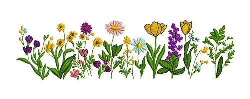 Wildflower Border