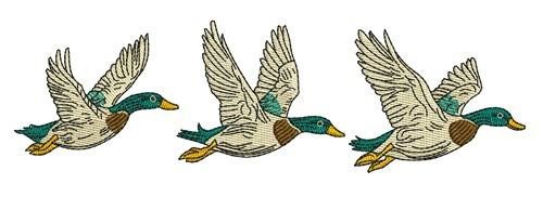 Mallard Ducks